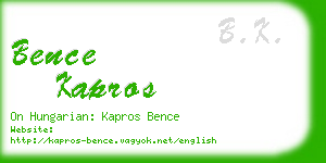 bence kapros business card